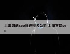 上海网站seo快速排名公司 上海官网seo