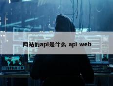 网站的api是什么 api web