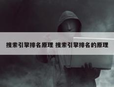 搜索引擎排名原理 搜索引擎排名的原理