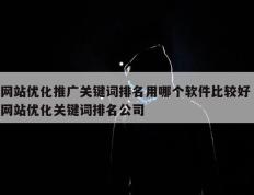 网站优化推广关键词排名用哪个软件比较好 网站优化关键词排名公司