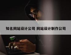 知名网站设计公司 网站设计制作公司