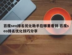 百度seo排名优化助手在哪里看到 百度seo排名优化技巧分享