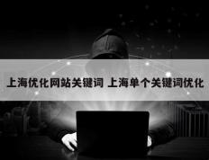 上海优化网站关键词 上海单个关键词优化