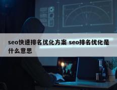 seo快速排名优化方案 seo排名优化是什么意思