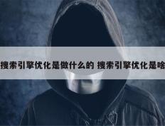 搜索引擎优化是做什么的 搜索引擎优化是啥