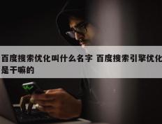 百度搜索优化叫什么名字 百度搜索引擎优化是干嘛的