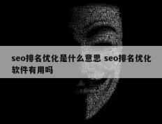 seo排名优化是什么意思 seo排名优化软件有用吗