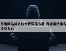 百度网站排名技术代码怎么看 百度网站排名提交入口