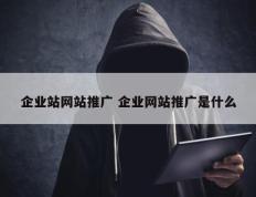 企业站网站推广 企业网站推广是什么