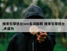 搜索引擎优化seo名词解释 搜索引擎优化,术语为