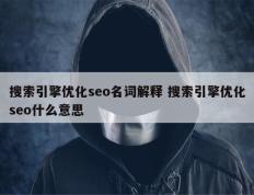 搜索引擎优化seo名词解释 搜索引擎优化seo什么意思