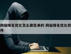 网站排名优化怎么做出来的 网站排名优化软件