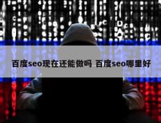 百度seo现在还能做吗 百度seo哪里好