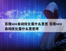 百度seo自动优化是什么意思 百度seo自动优化是什么意思呀