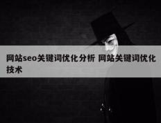 网站seo关键词优化分析 网站关键词优化技术