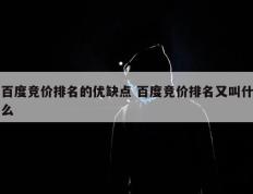 百度竞价排名的优缺点 百度竞价排名又叫什么