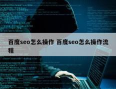 百度seo怎么操作 百度seo怎么操作流程