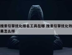 搜索引擎优化排名工具在哪 搜索引擎优化效果怎么样