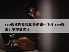 seo搜索排名优化多少钱一个月 seo搜索引擎排名优化