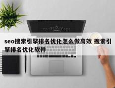 seo搜索引擎排名优化怎么做高效 搜索引擎排名优化软件