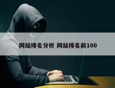 网站排名分析 网站排名前100