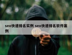 seo快速排名实例 seo快速排名软件案例