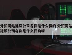 外贸网站建设公司名称是什么样的 外贸网站建设公司名称是什么样的呢