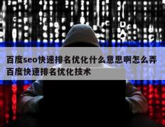 百度seo快速排名优化什么意思啊怎么弄 百度快速排名优化技术