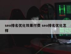 seo排名优化效果付费 seo排名优化怎样