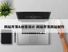 网站开发&创意设计 网站开发网站制作