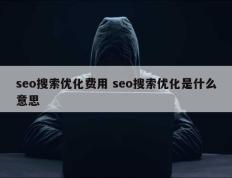 seo搜索优化费用 seo搜索优化是什么意思