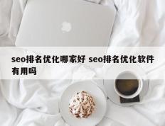 seo排名优化哪家好 seo排名优化软件有用吗