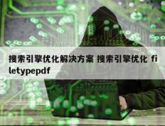 搜索引擎优化解决方案 搜索引擎优化 filetypepdf