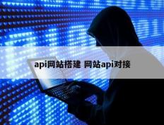 api网站搭建 网站api对接