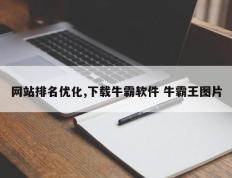 网站排名优化,下载牛霸软件 牛霸王图片