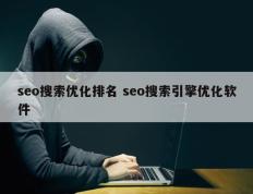 seo搜索优化排名 seo搜索引擎优化软件