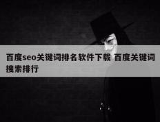 百度seo关键词排名软件下载 百度关键词搜索排行