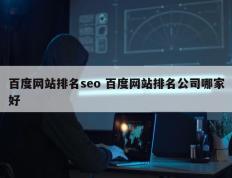 百度网站排名seo 百度网站排名公司哪家好