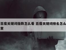 百度关键词指数怎么看 百度关键词排名怎么查