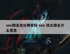 seo排名优化哪家好 seo 优化排名什么意思