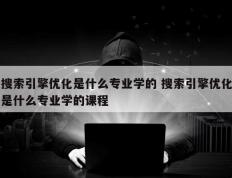 搜索引擎优化是什么专业学的 搜索引擎优化是什么专业学的课程