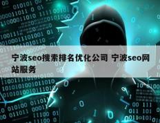 宁波seo搜索排名优化公司 宁波seo网站服务