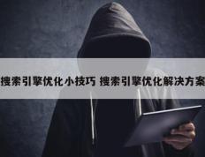 搜索引擎优化小技巧 搜索引擎优化解决方案