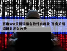 百度seo关键词排名软件有哪些 百度关键词排名怎么收费