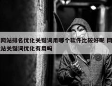 网站排名优化关键词用哪个软件比较好呢 网站关键词优化有用吗