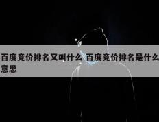 百度竞价排名又叫什么 百度竞价排名是什么意思