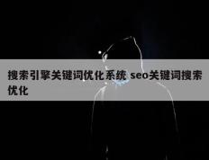 搜索引擎关键词优化系统 seo关键词搜索优化