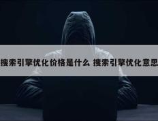 搜索引擎优化价格是什么 搜索引擎优化意思