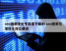 seo搜索优化专员是干嘛的 seo搜索引擎优化岗位要求