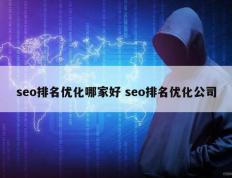 seo排名优化哪家好 seo排名优化公司